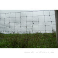 Hot Dipped Galvanized Farm Field Fence Cattle Fence